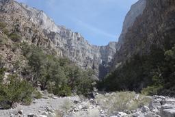 The forest at the bottom of the notch [sat apr 22 13:49:59 mdt 2017]